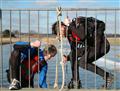 Foto: http://cp.osd.dk 08